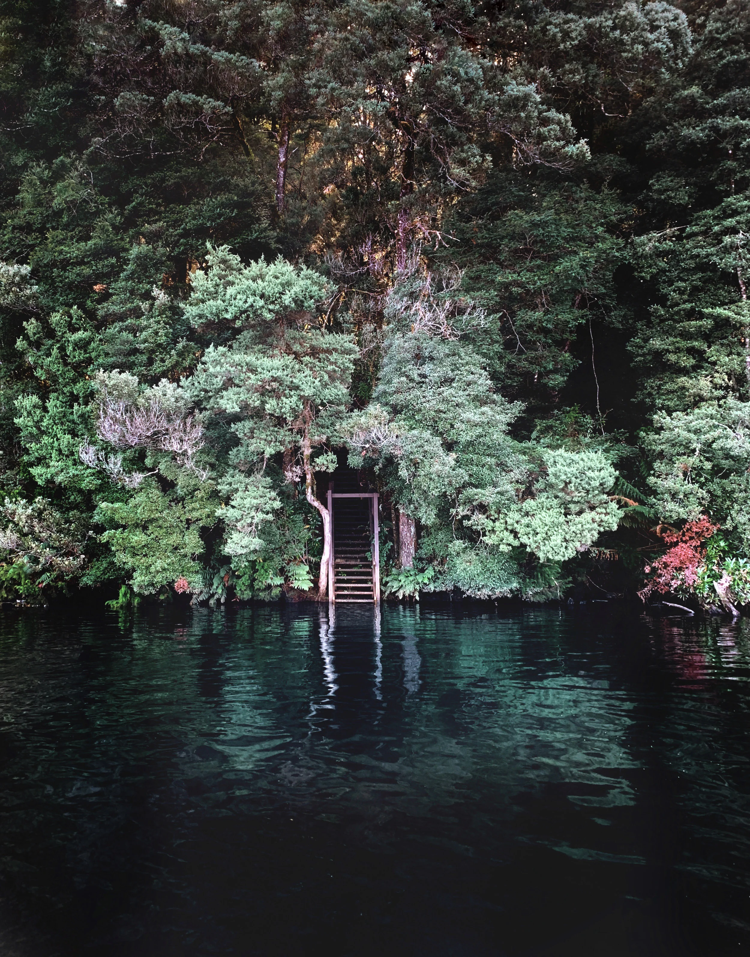 CORINNA THE HIDDEN OASIS