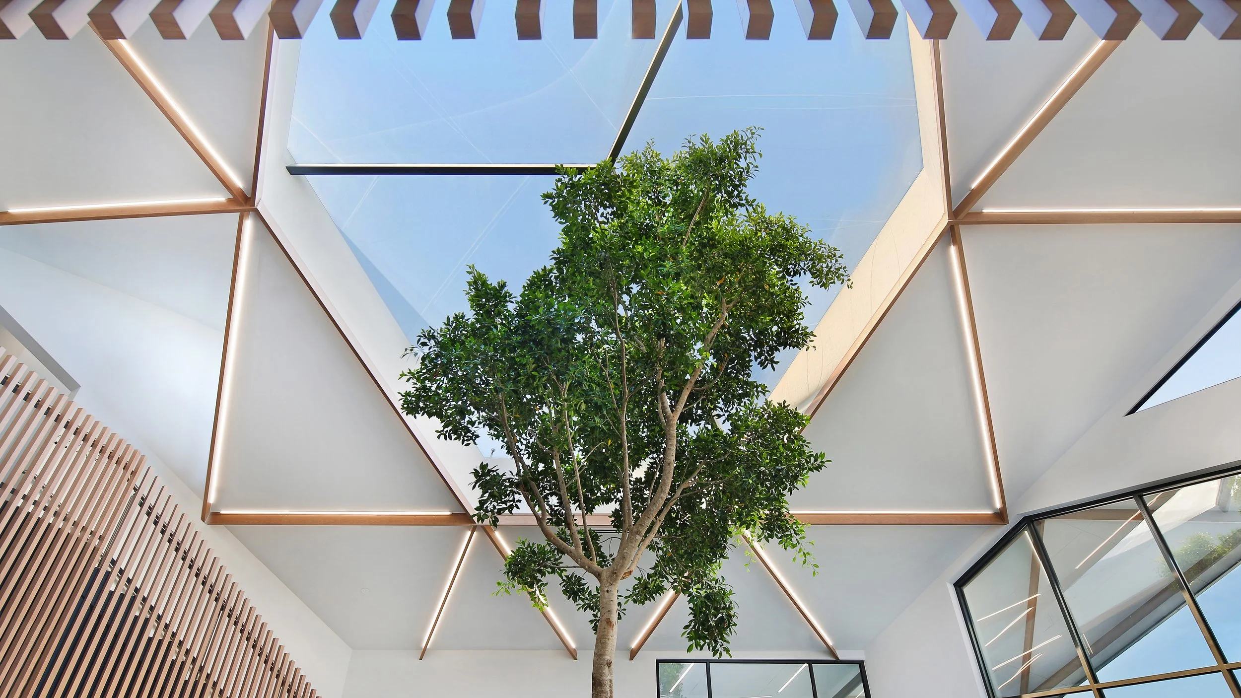 VICTORIAN SPECIALIST CENTRE, TEMPLESTOWE LOWER 
