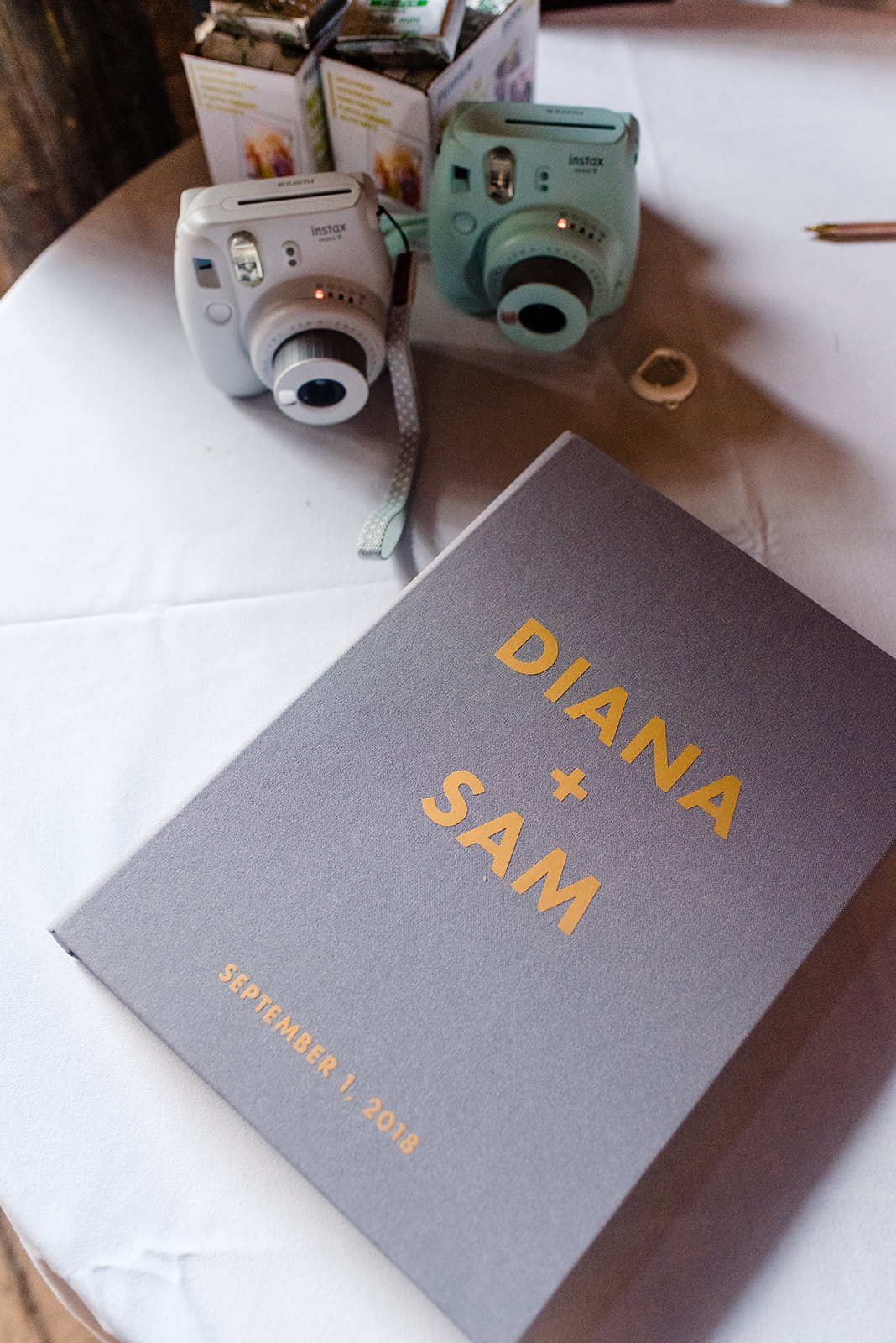 Diana and Sam 0504.jpg