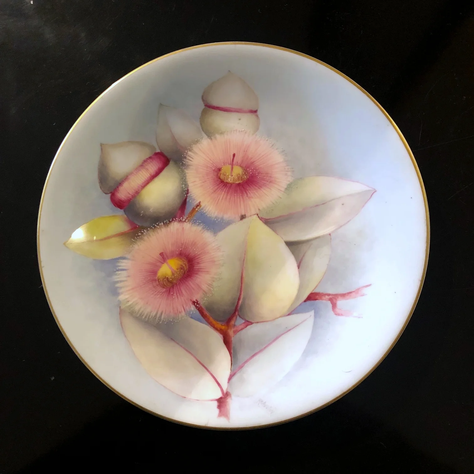 Rare Royal Worcester Australian Flowering Eucalyptus Plate 