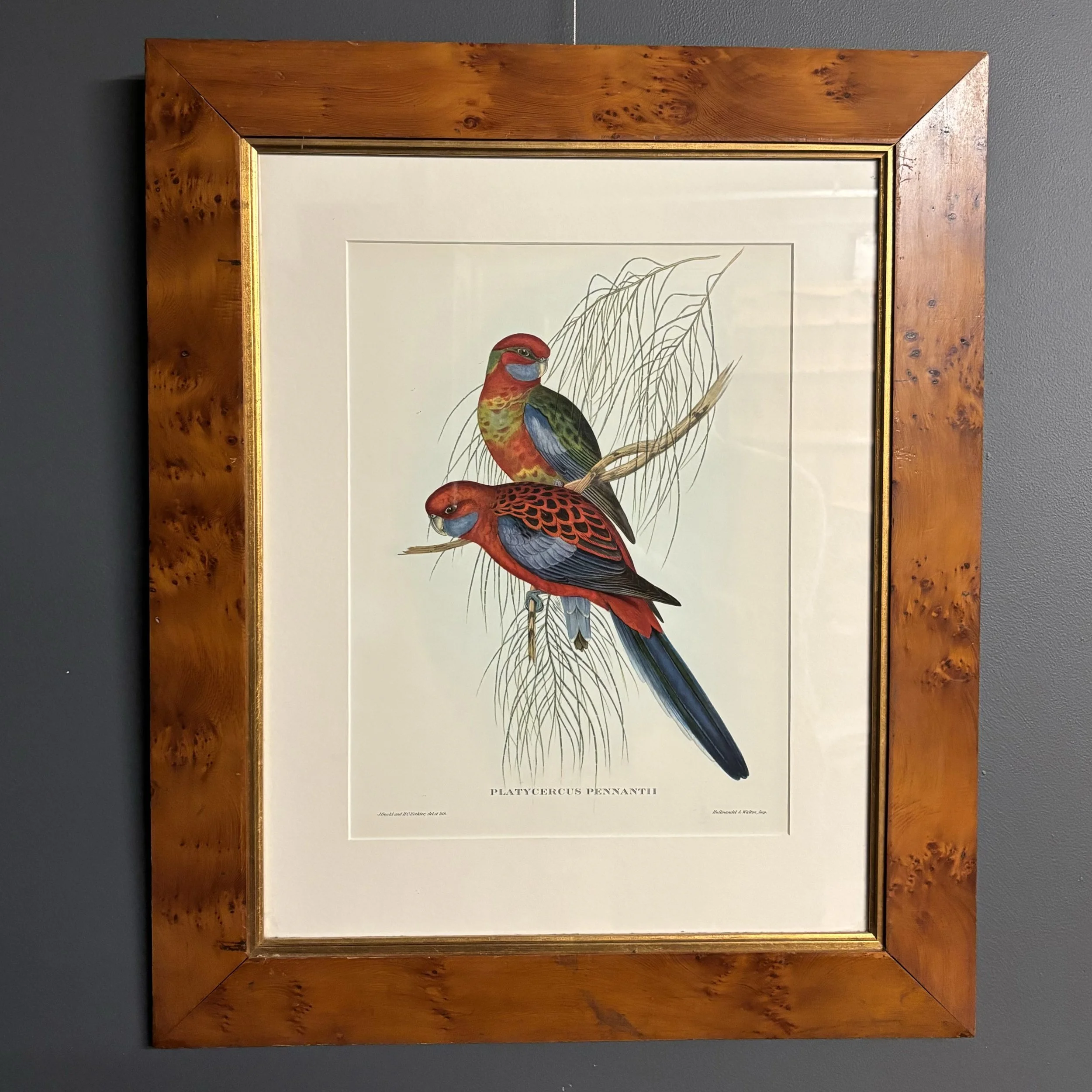 Pair-antique-Tasmanian-birds-eye-huon-pine-frames-5.jpeg