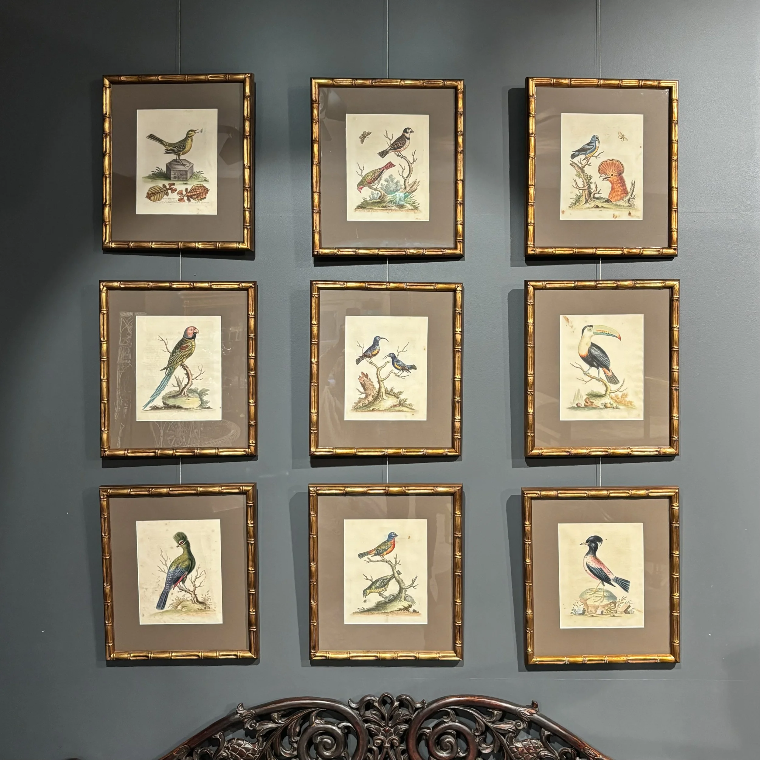 Antique-18th-century-bird-engravings-George-Edwards-1.jpeg