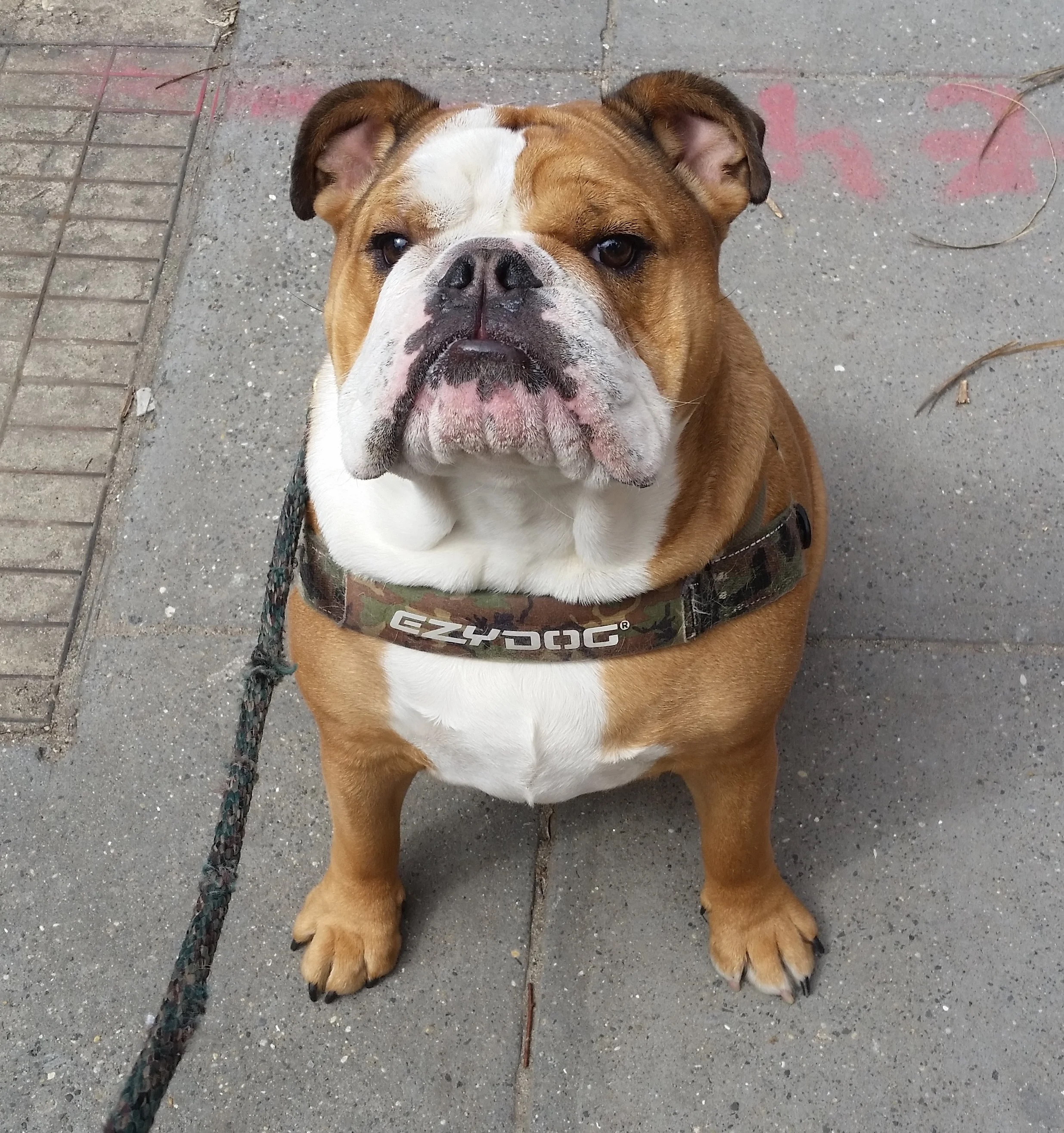 20150324_123143.jpg