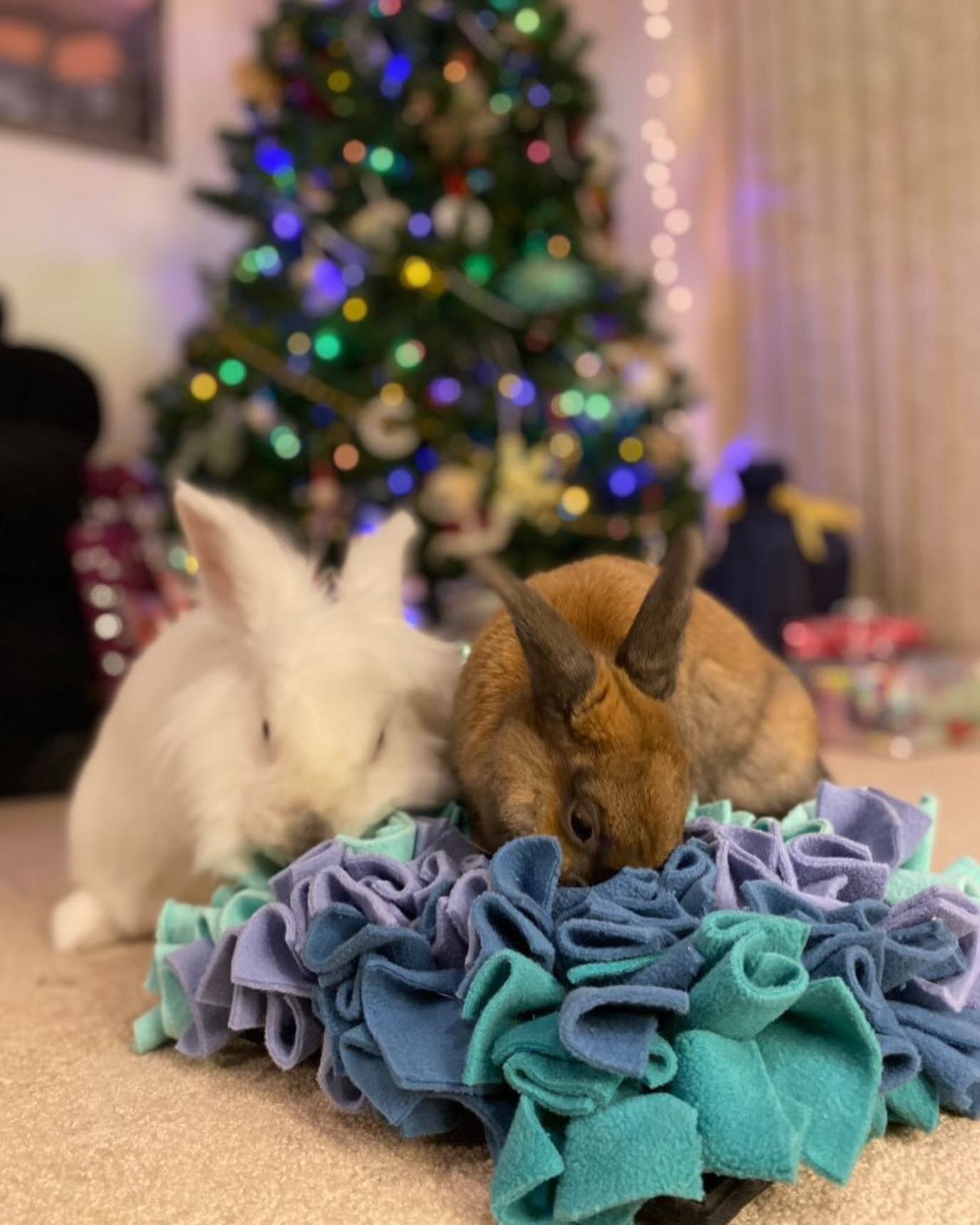 I can not get over how much these photos of bunnies Churro &amp; Bumble ( @churro.the.bun )enjoying their Think Smart snuffle mat have made my heart pitter patter like lil bunny hippity hops! I get so much joy out of seeing your animal family members
