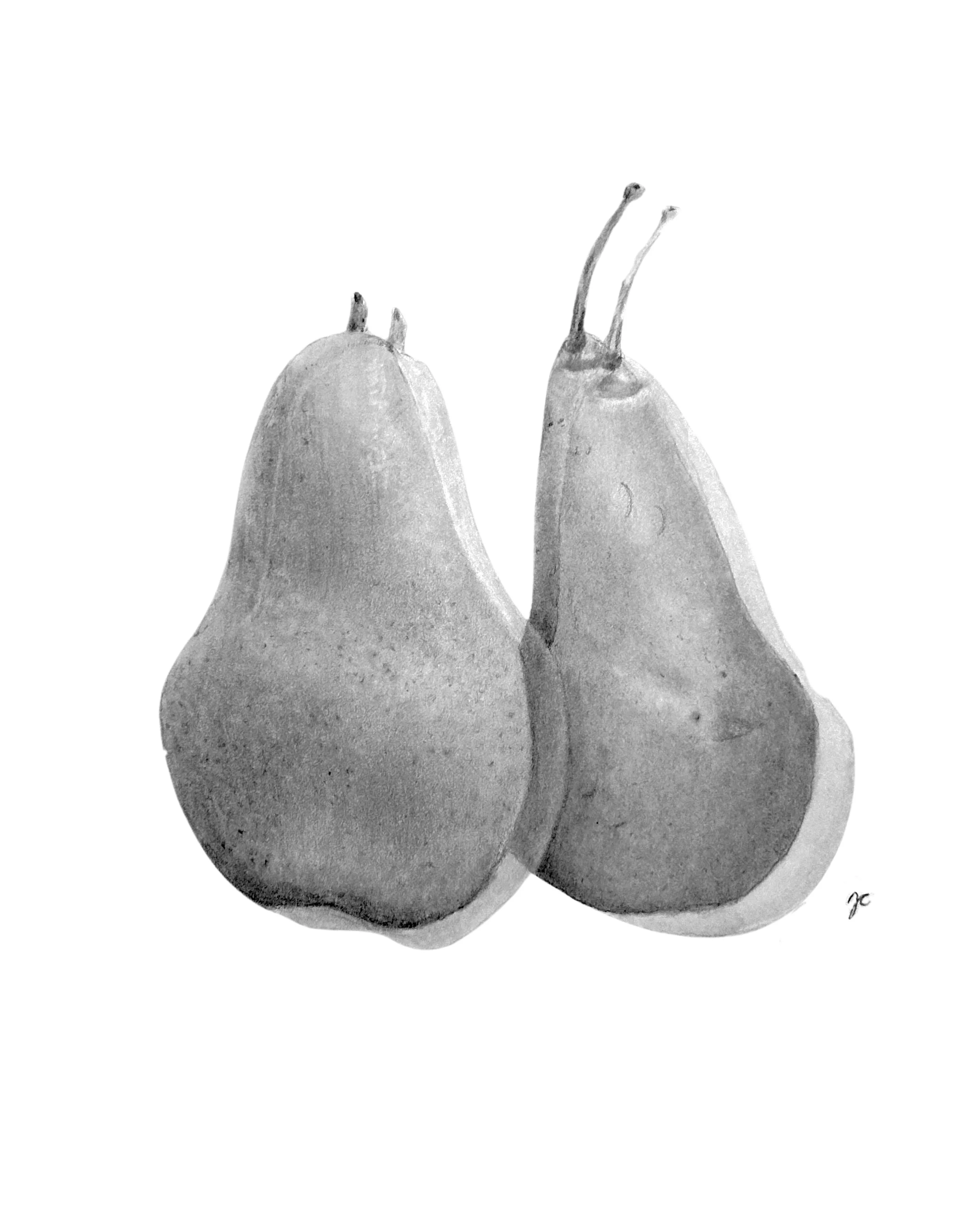A Pair of Pears