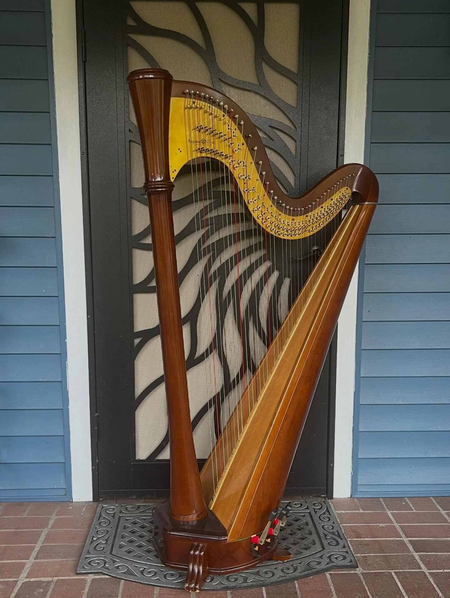 Harp for sale! 
Here is an Aoyama Etude 41A petite pedal harp for sale. It has 41 strings, a straight soundboard, about 5&rsquo;1&rdquo; tall, and weighing about 66lbs. It was regulated by Kurt Berg summer of 2023. 
It comes with a blue dust cover an
