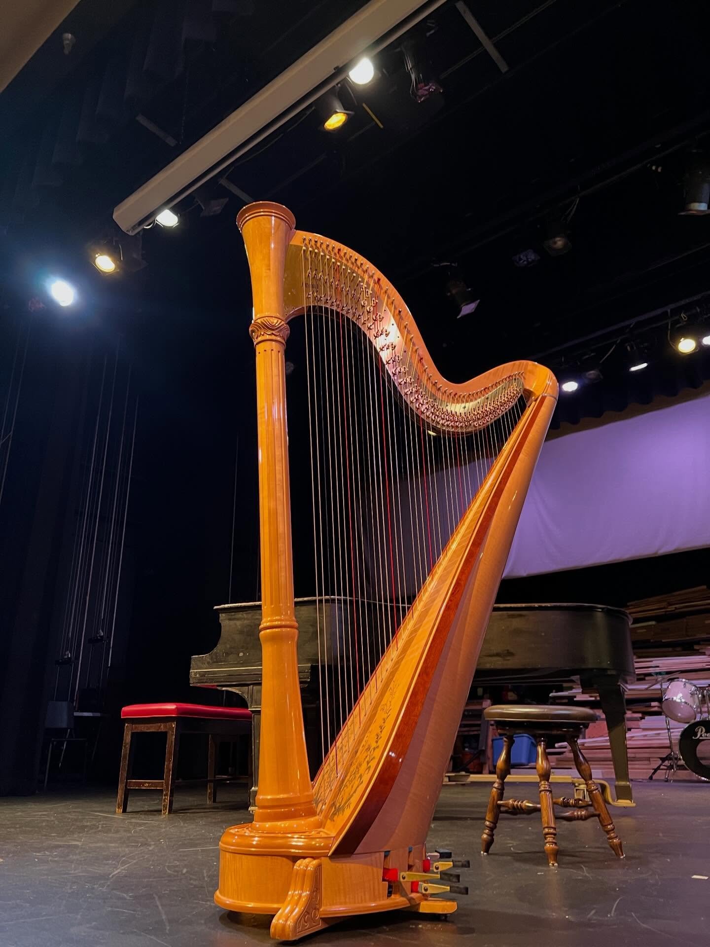 Fantastic Young Artist Recital today! Thanks @valleycatholicschool for putting on this lovely event! In addition to voice, piano, flute, guitar, cello, violin, and drum pieces, the audience was treated to a delightful harp solo AND a harp quartet! 🪉
