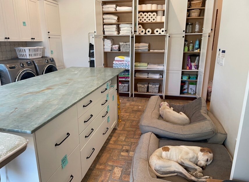 Your overwhelm is my happy place! 😌 Pet assistants always a welcome 🎀✨ #tucsonarizona #laundryroom #homeorganization #theContainerStore #tcs #callinbackup