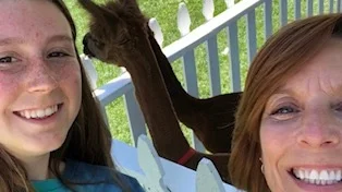 Llama.jpg