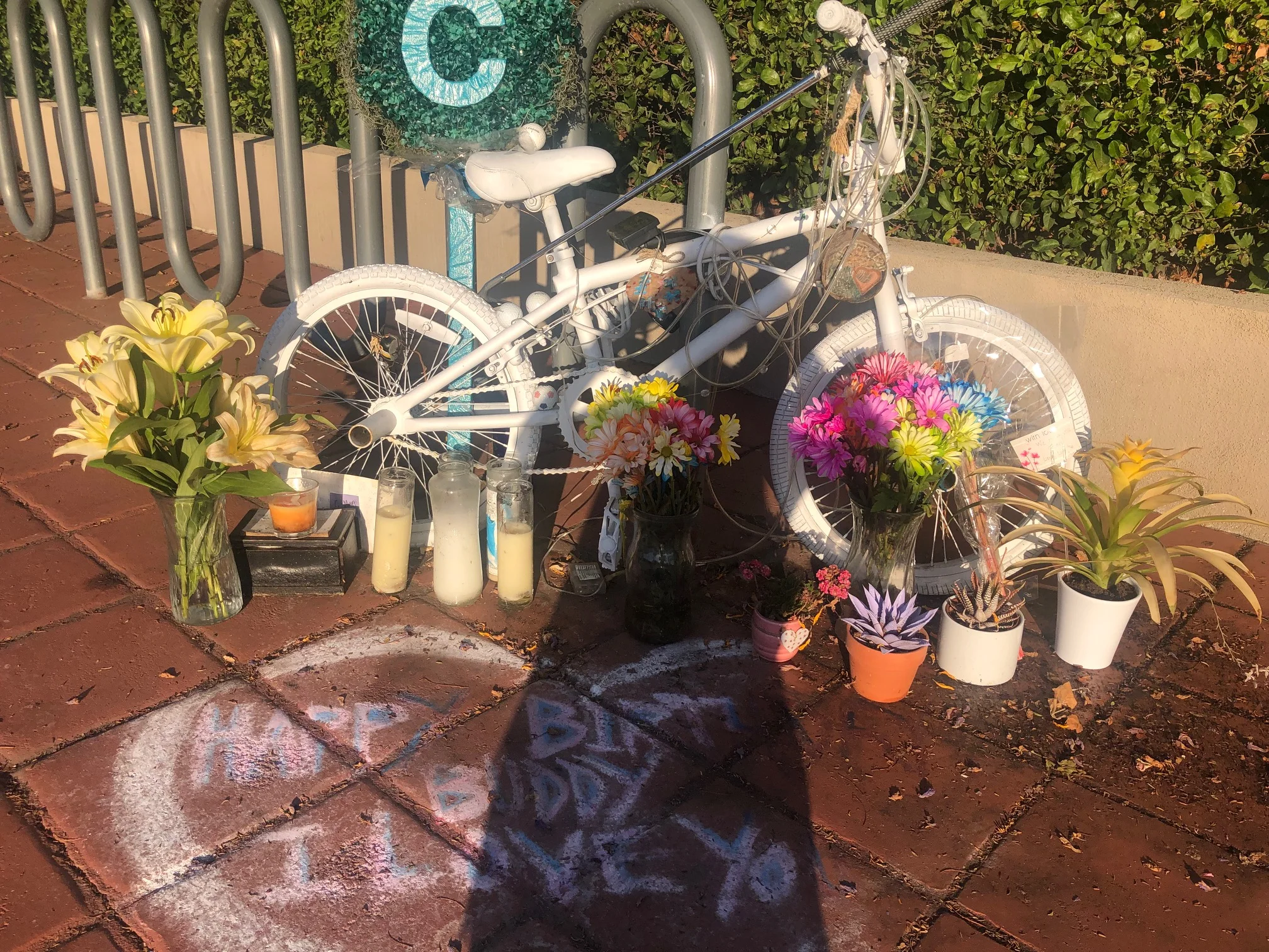 Fresh Flowers at Bike.jpg