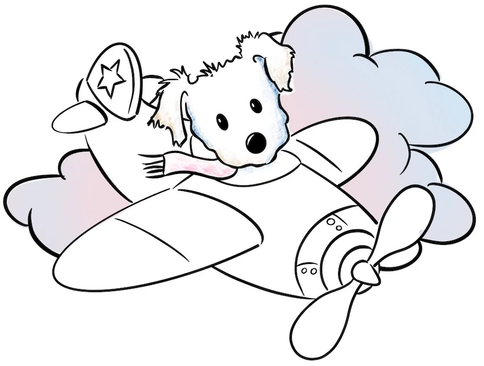 shipping-maltipoo-puppies.jpg