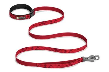 maltipoo-collar-leash.jpg