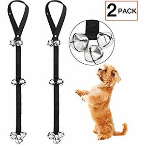 maltipoo potty training