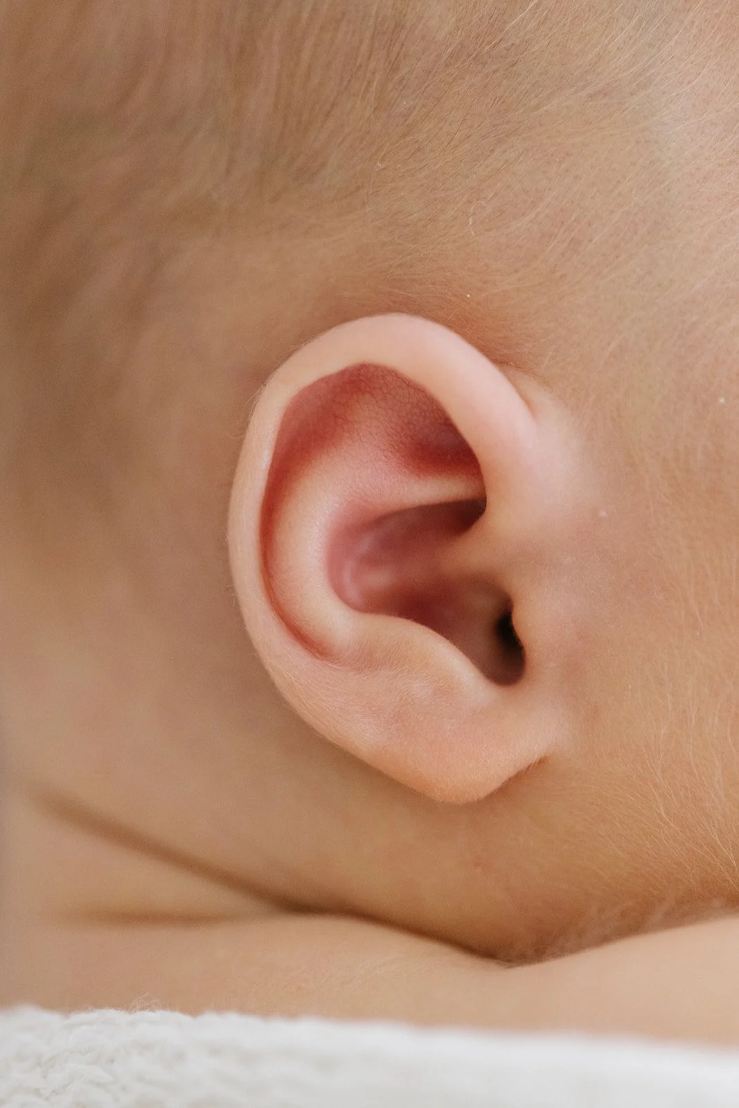 Up-close photo of newborn baby's ear