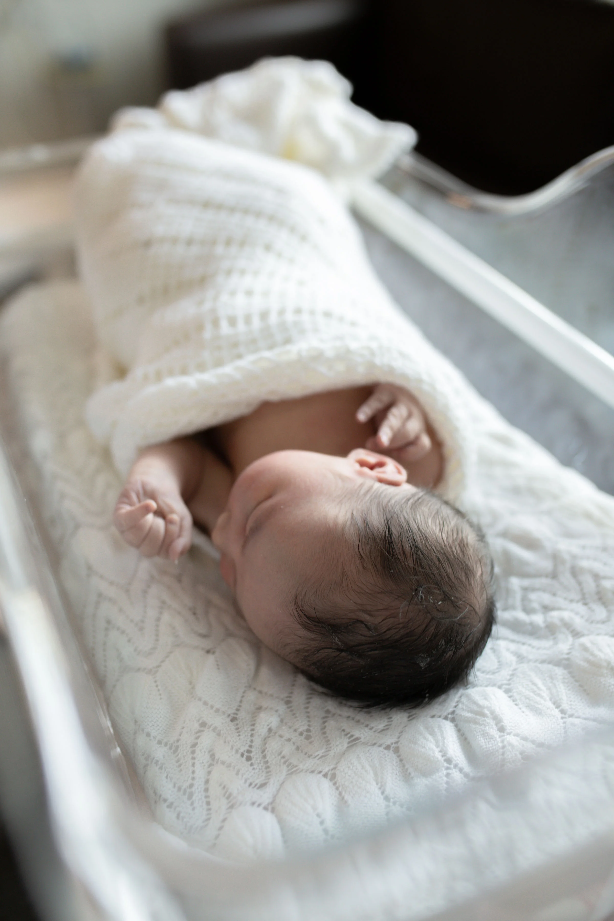 Brisbane Fresh 48 Photography - Louie