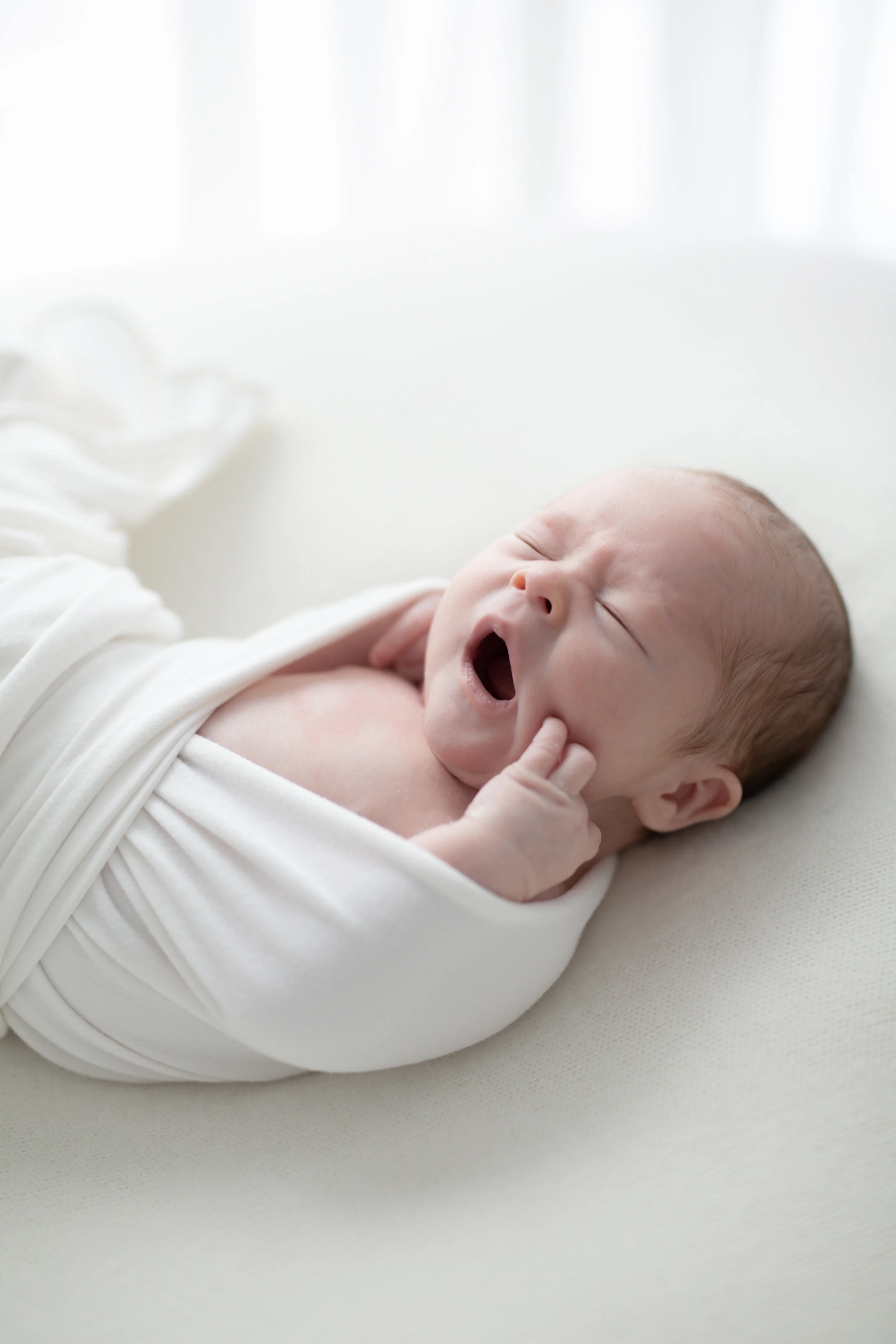 Baby Alfred