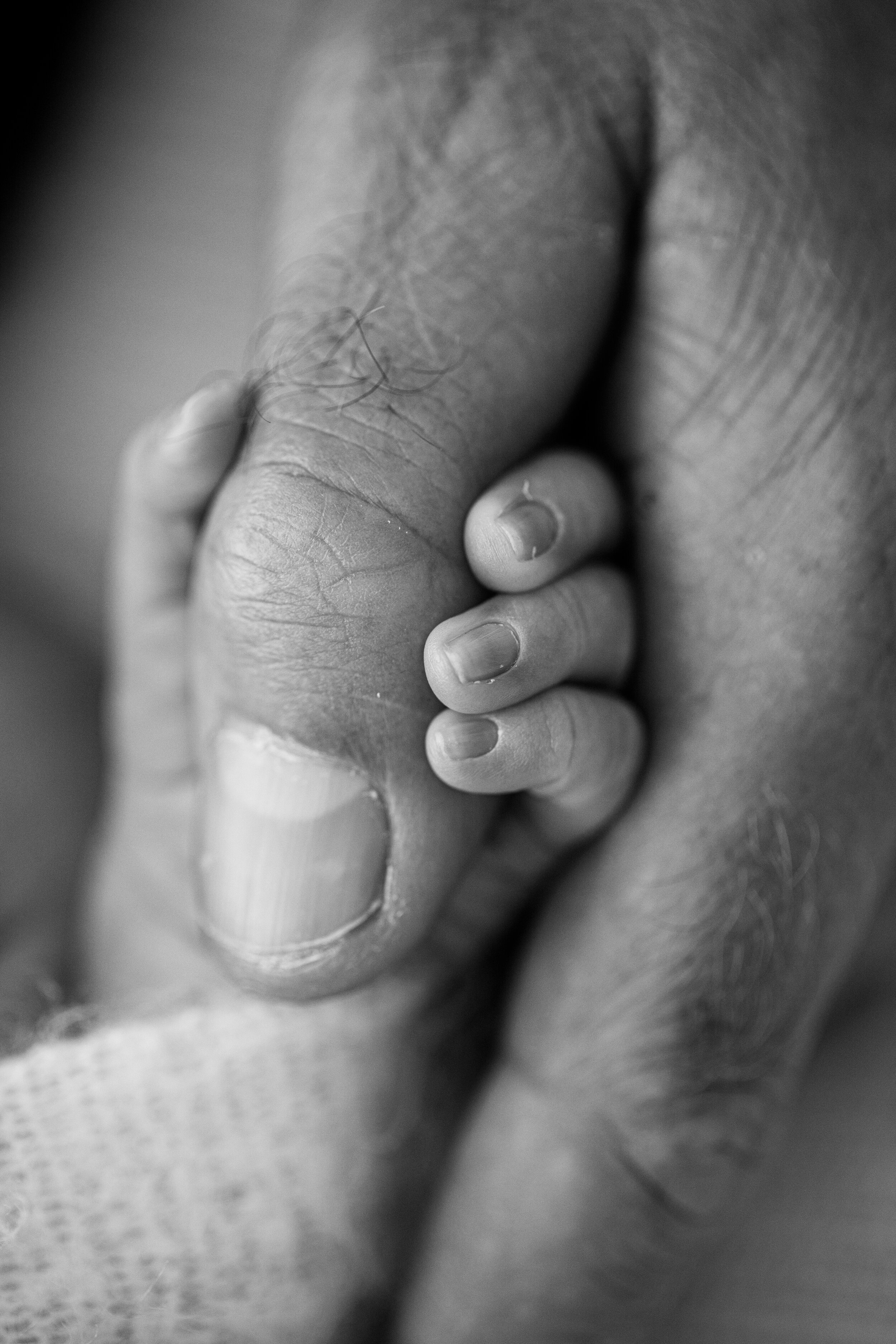 Newborn baby holding his dads thumb- Black and white photograph