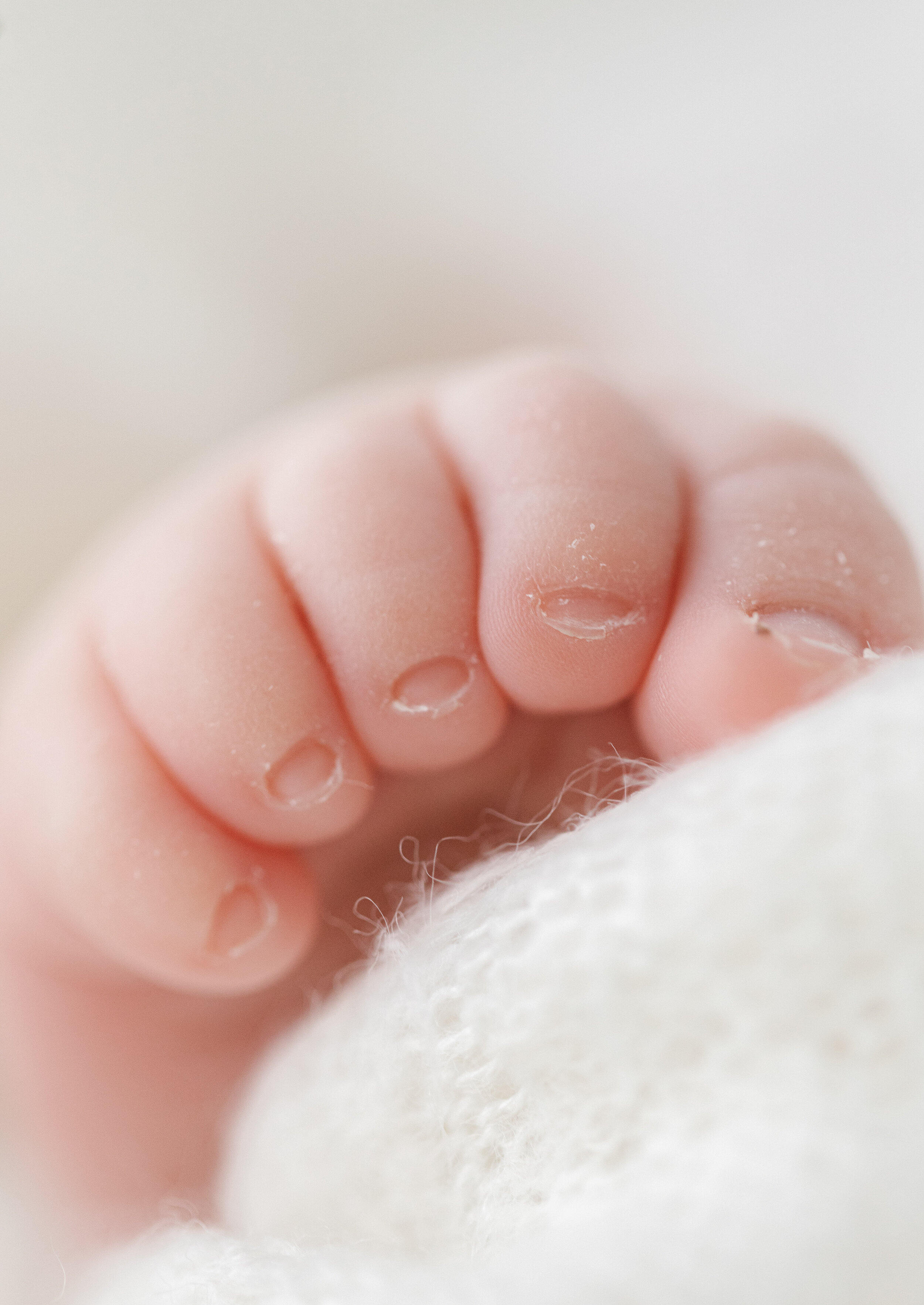 a macro photograph of newborn baby toes 
