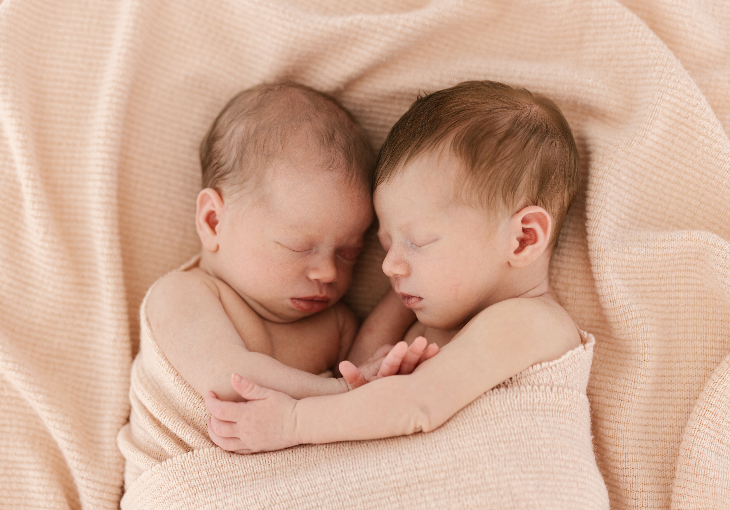 twin newborn babies photographed on a ruffled pink blanket