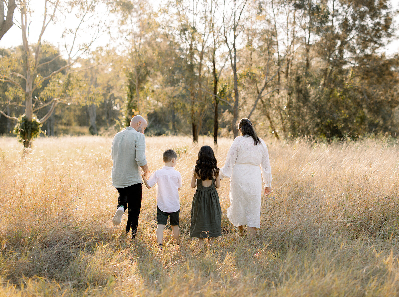 Family of four holding hands in the golden grass