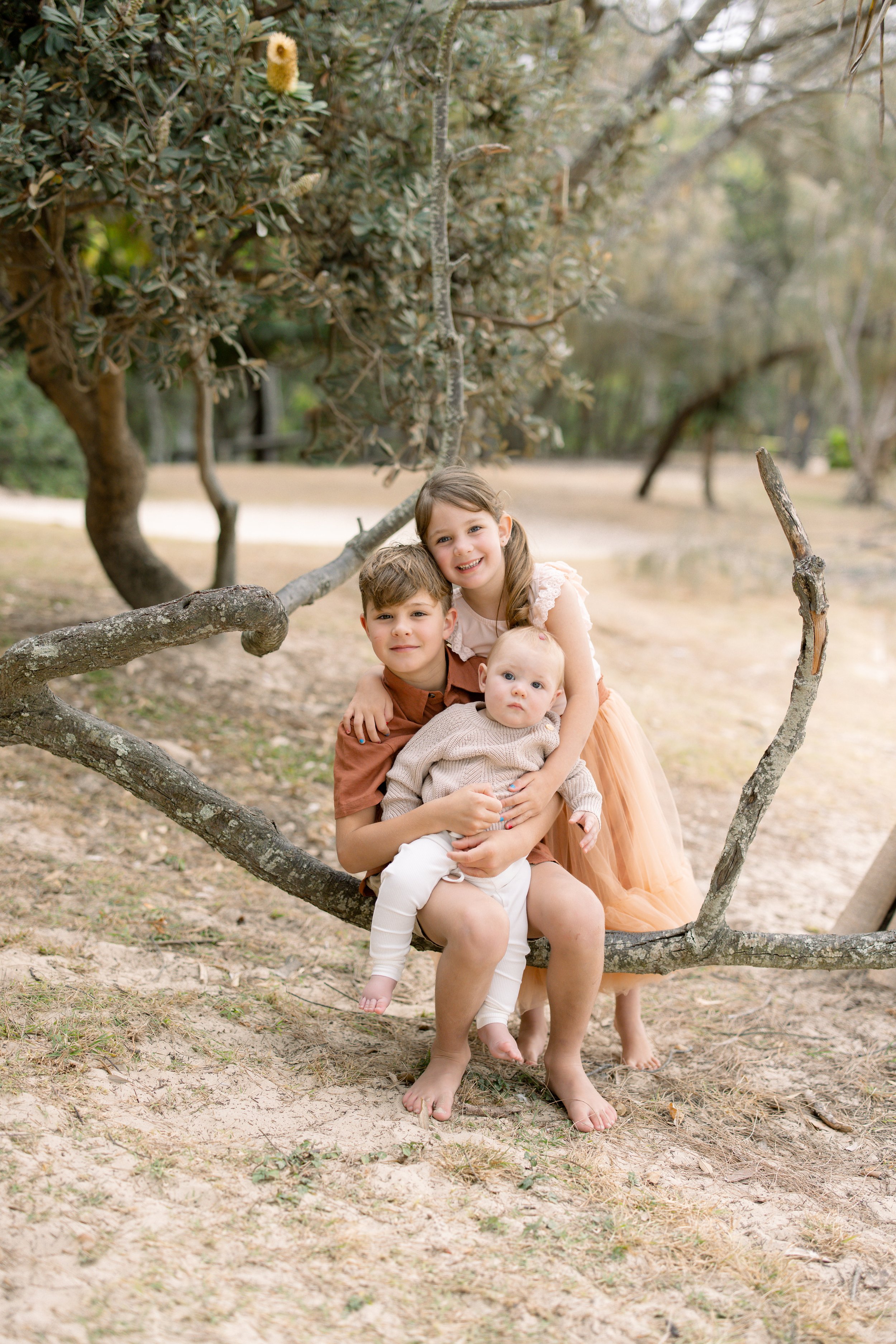 three siblings sitting on a Sunshine Coast tree branch