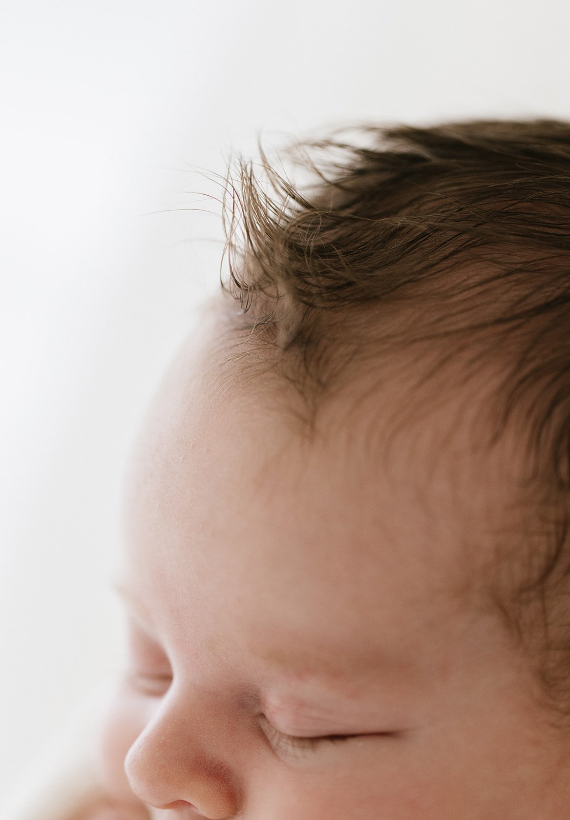 Macro photography of fluffy, dark newborn baby hair 