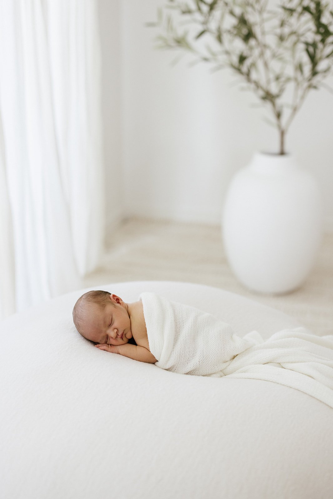  newborn baby wrapped in a white blanket laying in front of a olive tree pot 