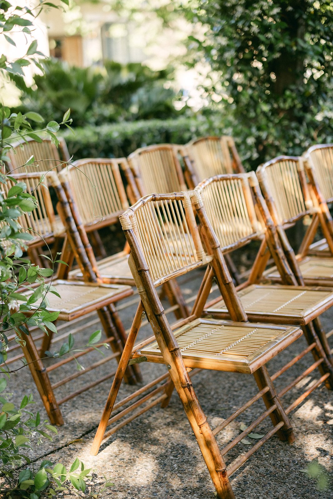 Wedding ceremony chairs all lined up at Brisbanes Hillstone St Lucia Wedding venue