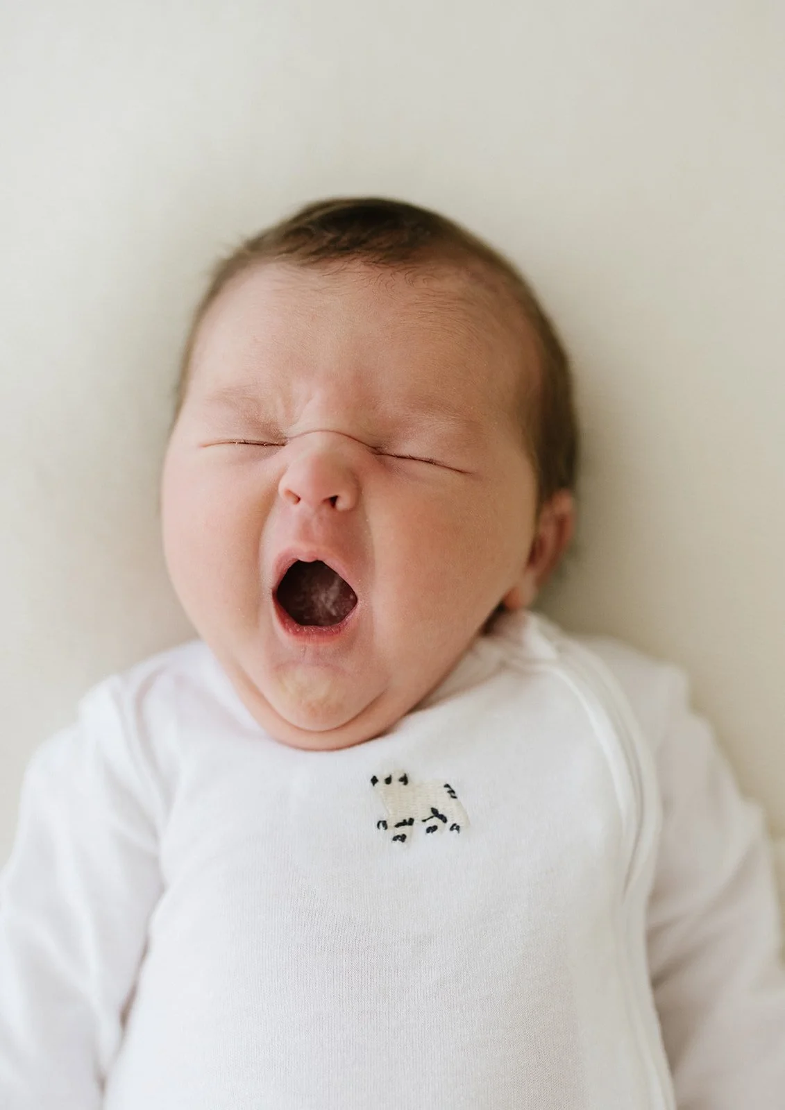 A newborn baby yawning with eyes closed, wearing a white outfit with a small animal graphic. Taken at Wylde Folk Studio - Brisbane newborn photography.