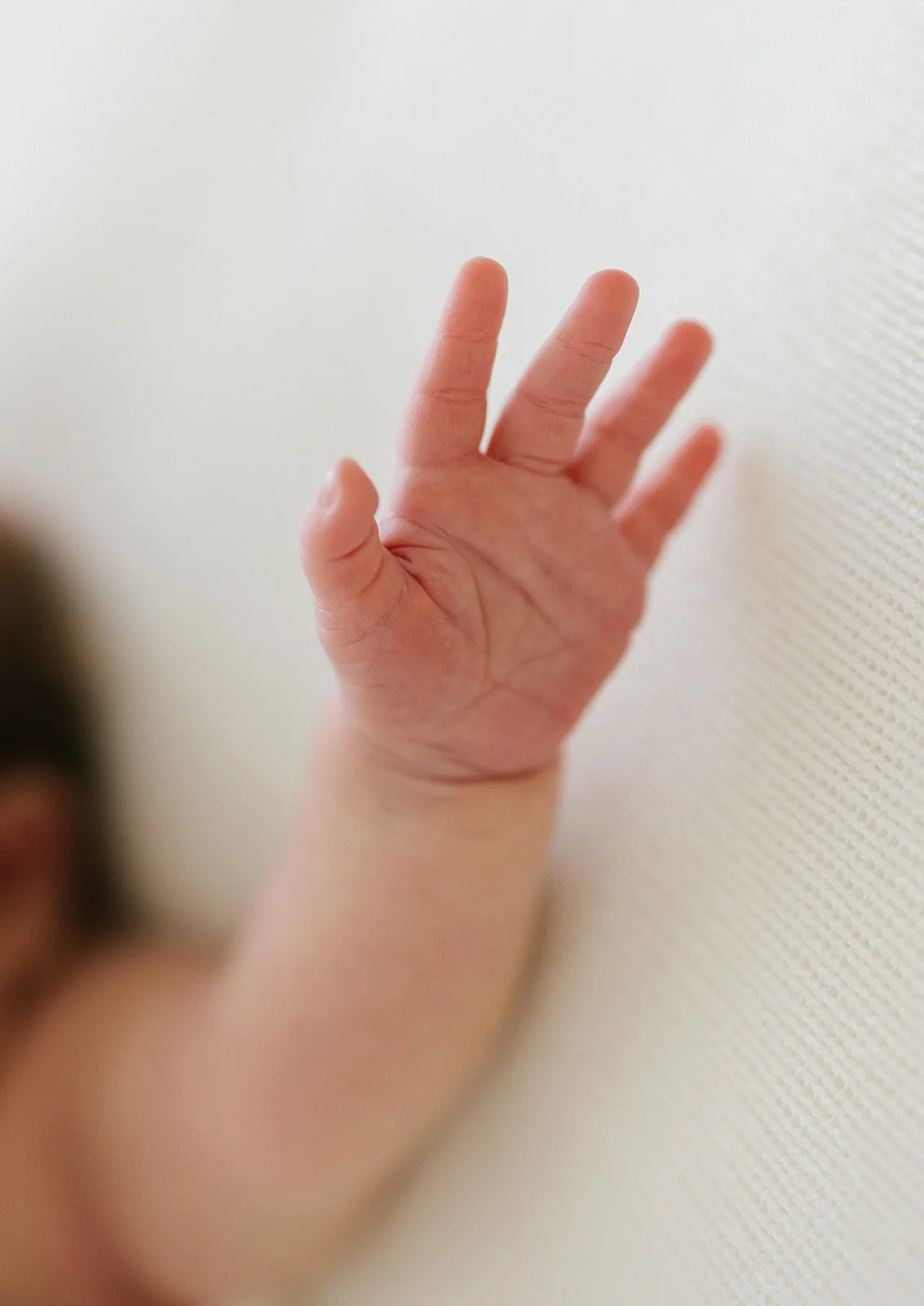 Close-up of a baby hand with fingers raised, against a light-colored wall background. Taken at Wylde Folk Studio - Brisbane newborn photography.