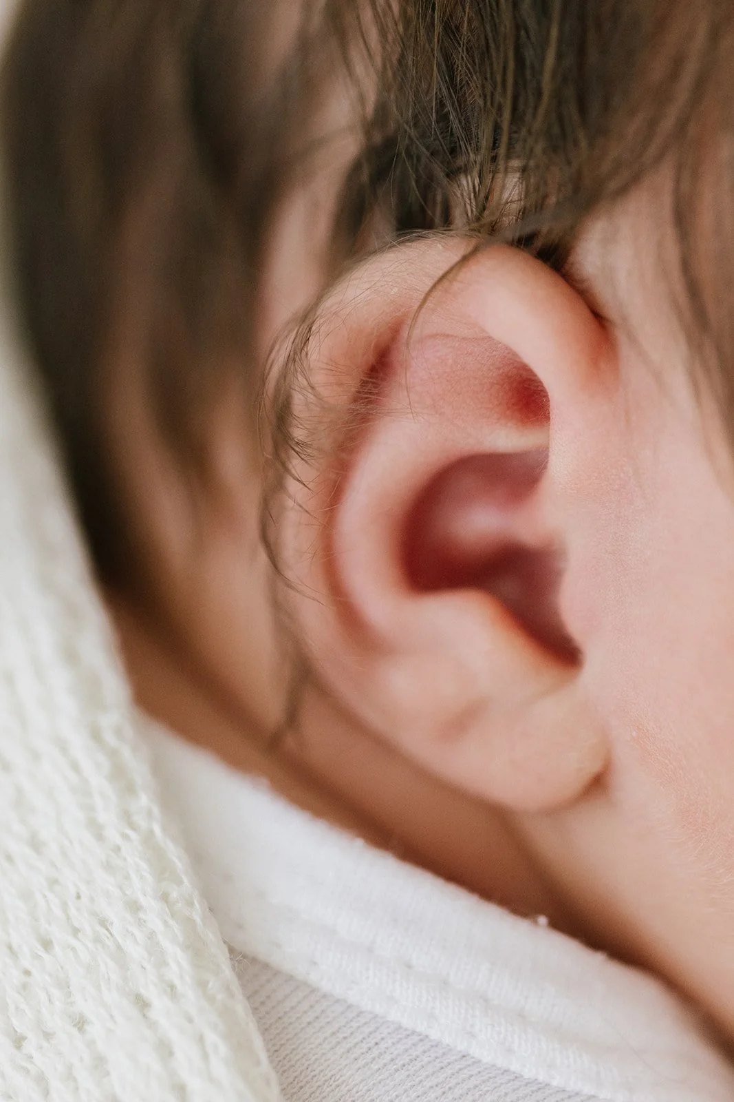 Close-up of newborn's ear with soft skin and dark hair. Taken at Wylde Folk Studio - Brisbane newborn photographer.