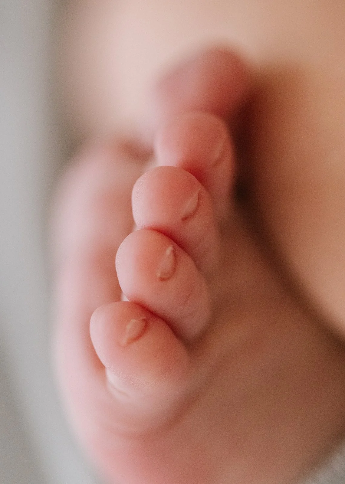 Close-up of a baby's toes. Taken at Wylde Folk Studio - Brisbane newborn photographer.