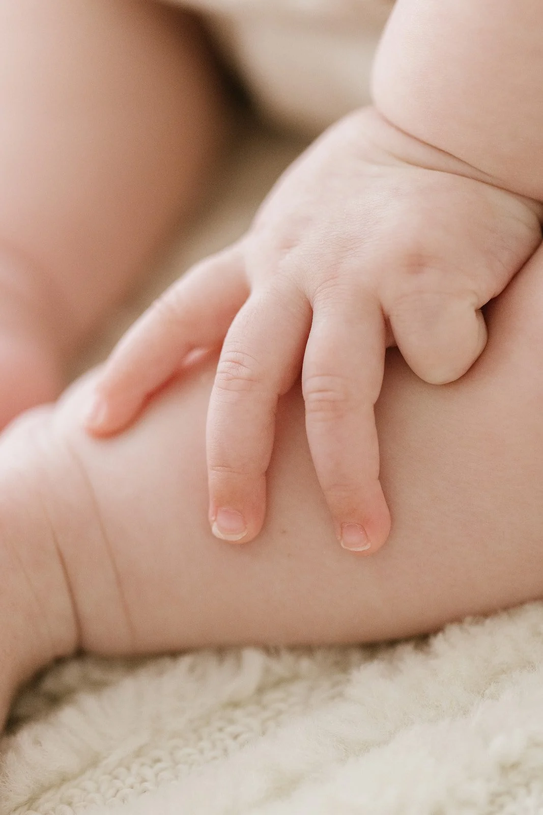Close-up of a small baby's hand holding an adult's finger, showing the gentle grip and tiny fingers. Taken at Wylde Folk Studio - Brisbane photographer.