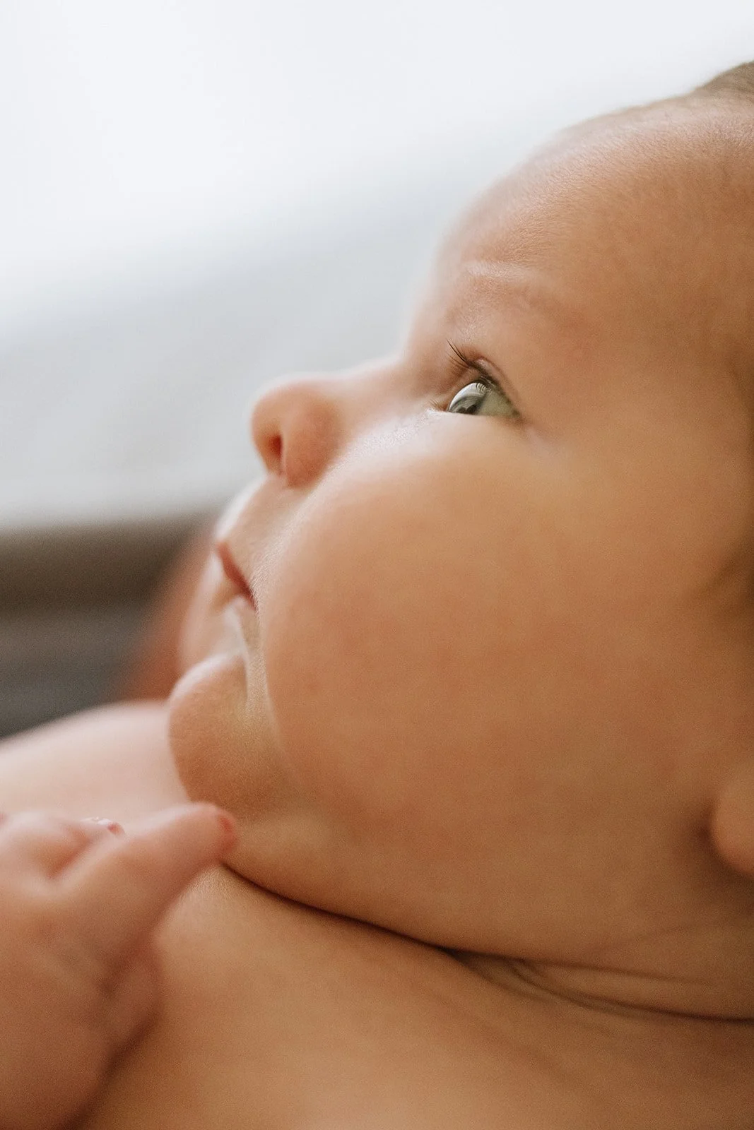 Close-up of a sleeping baby's face, showing peaceful expression, skin, and fine hair. Taken at Wylde Folk Studio - Brisbane newborn photographer.