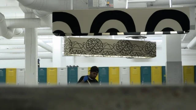 The Rose That Grew from Concrete