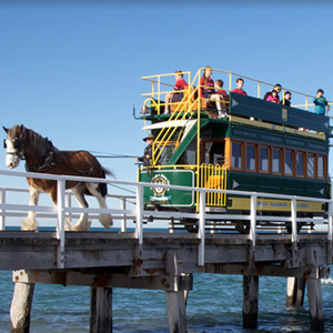 Horse Drawn Tram