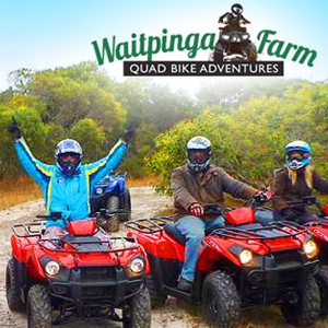 Waitpinga Farm - Quad Bikes