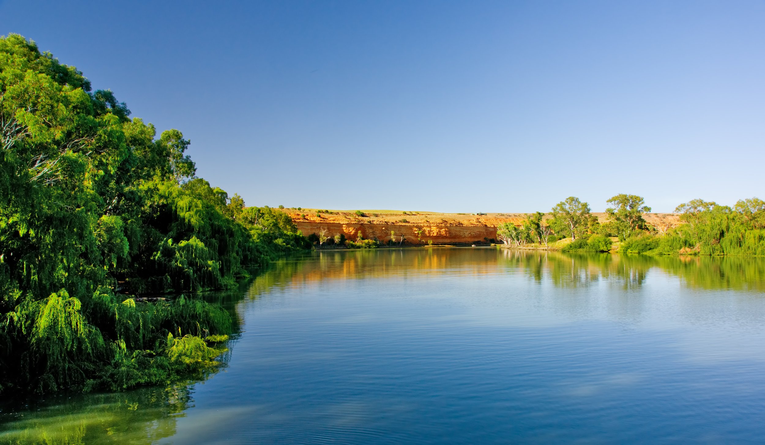 MURRAY RIVER DAY-CRUISE