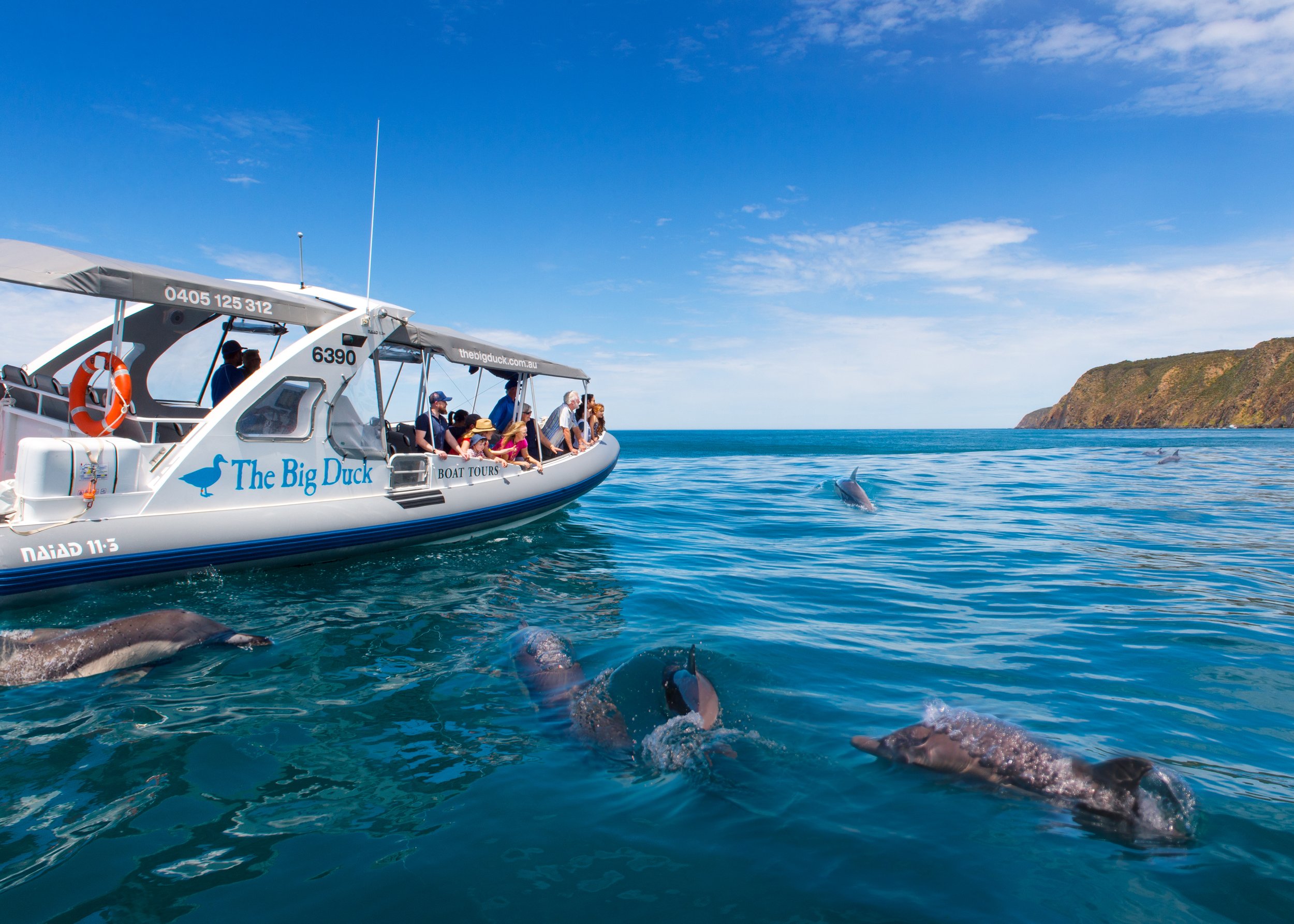 SOUTHERN OCEAN ADVENTURE