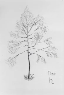 Scan 2018-9-10 11.18.24.jpeg