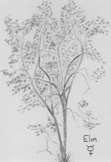 Scan 2018-9-10 11.19.57.jpeg