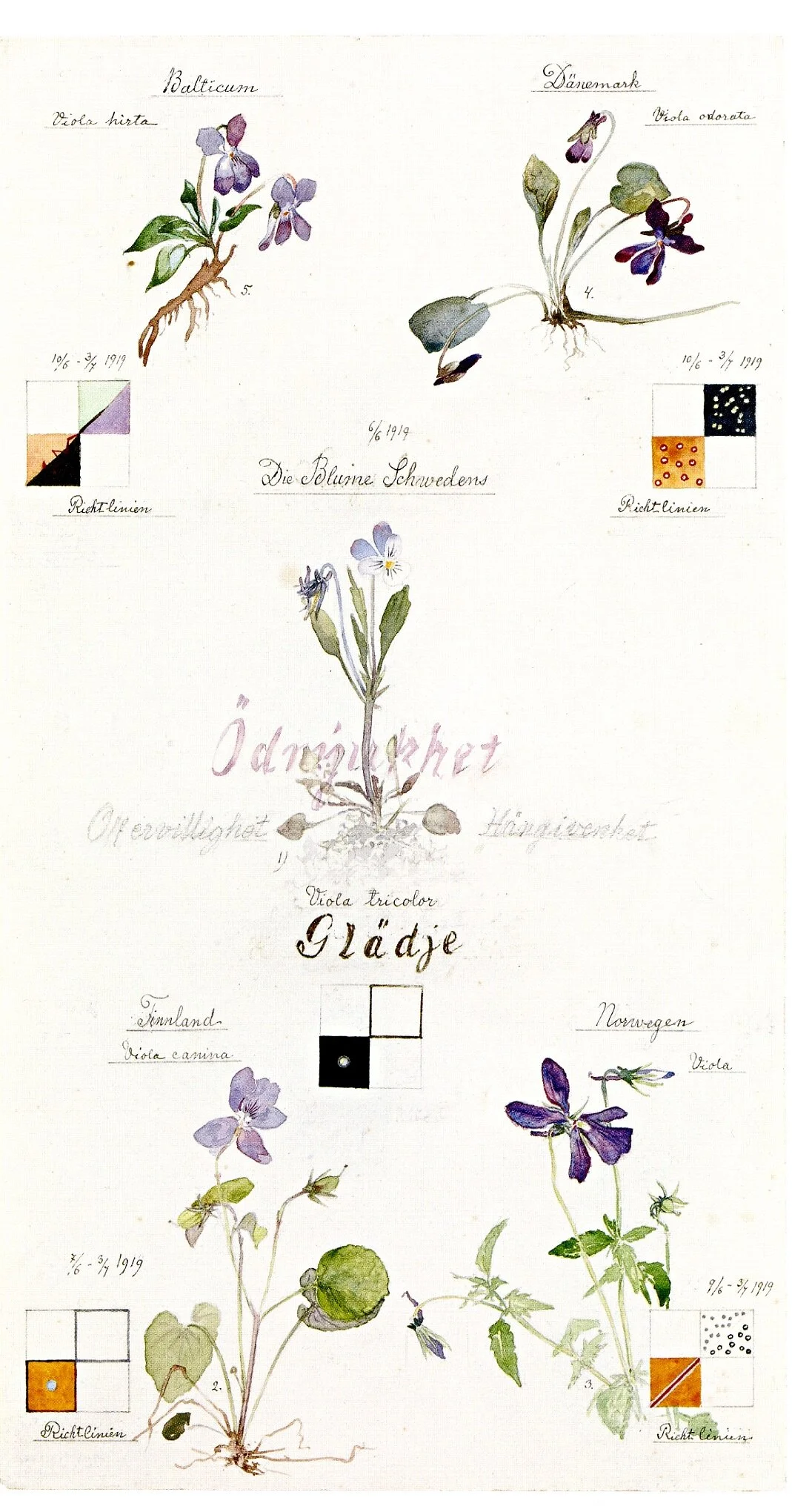 Af Klint, Violets.jpg