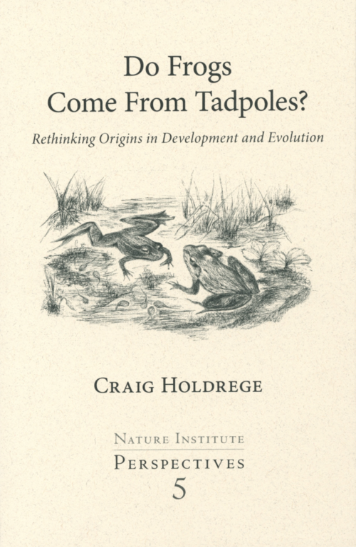 Do Frogs Come From Tadpoles_.png