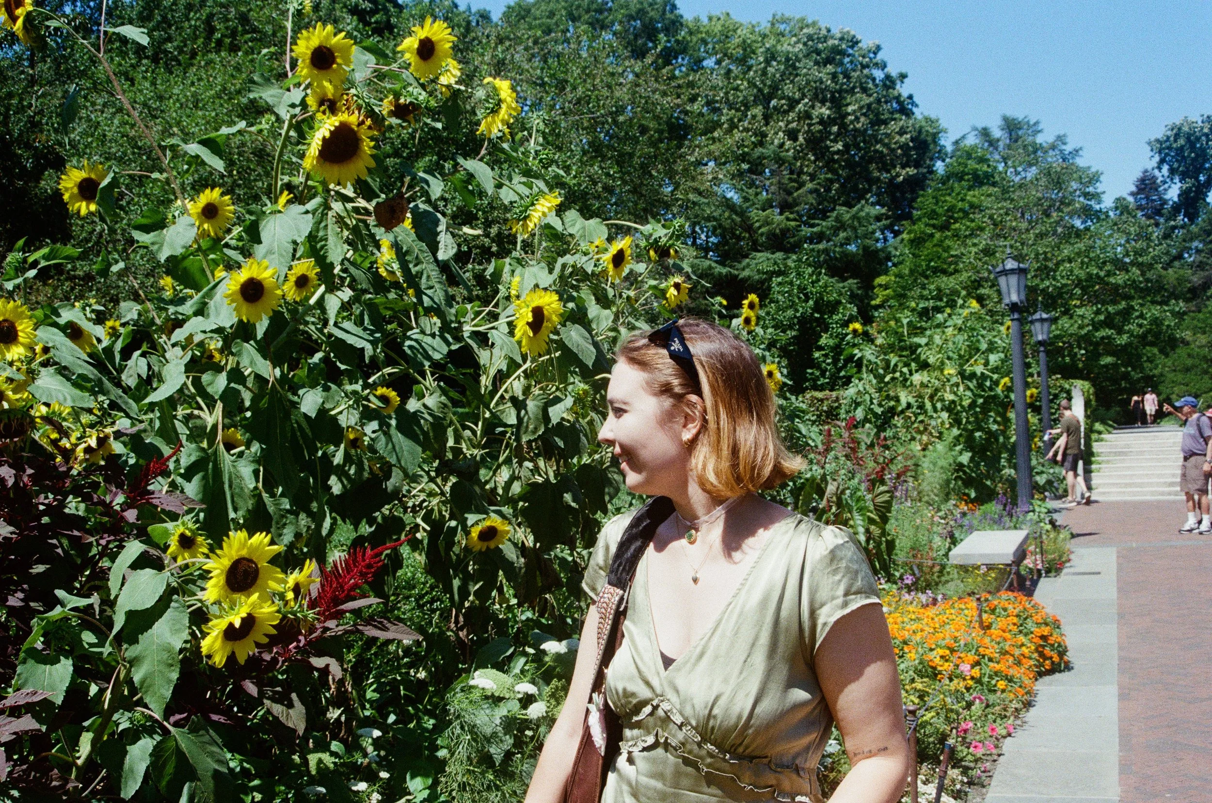 j and sunflowers.jpg