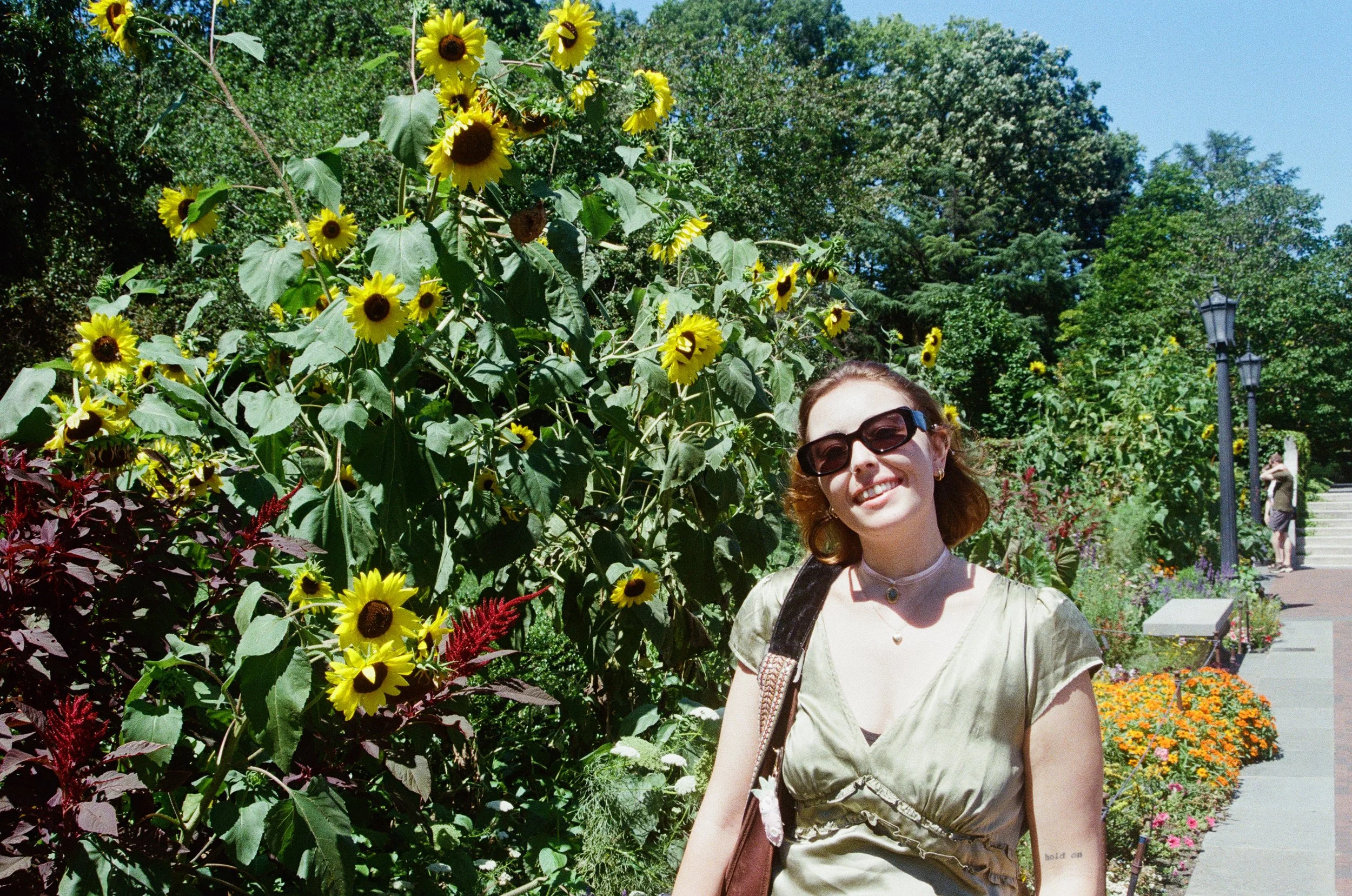 jojo sunflower.jpg