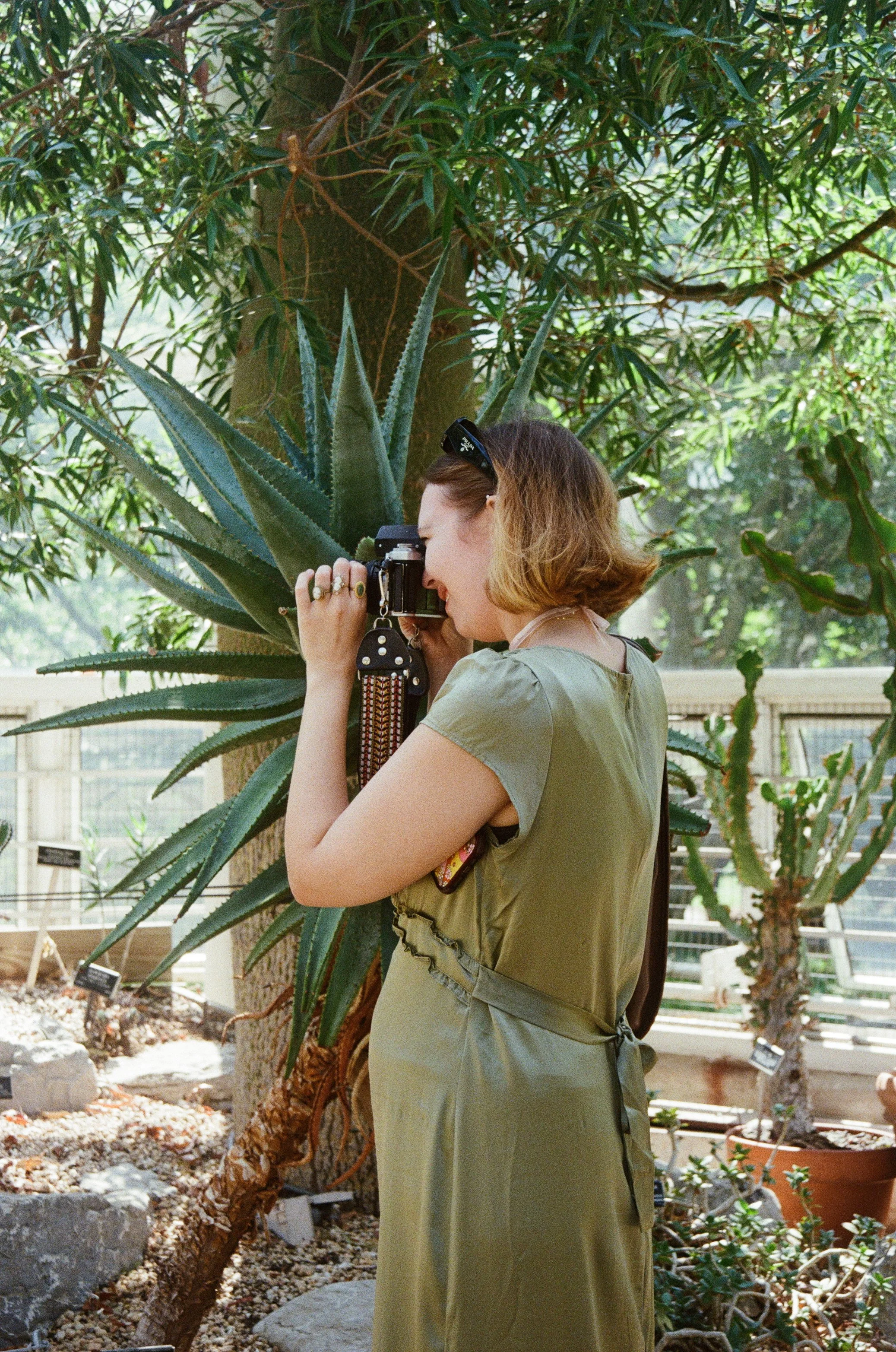 plant flash 2.jpg