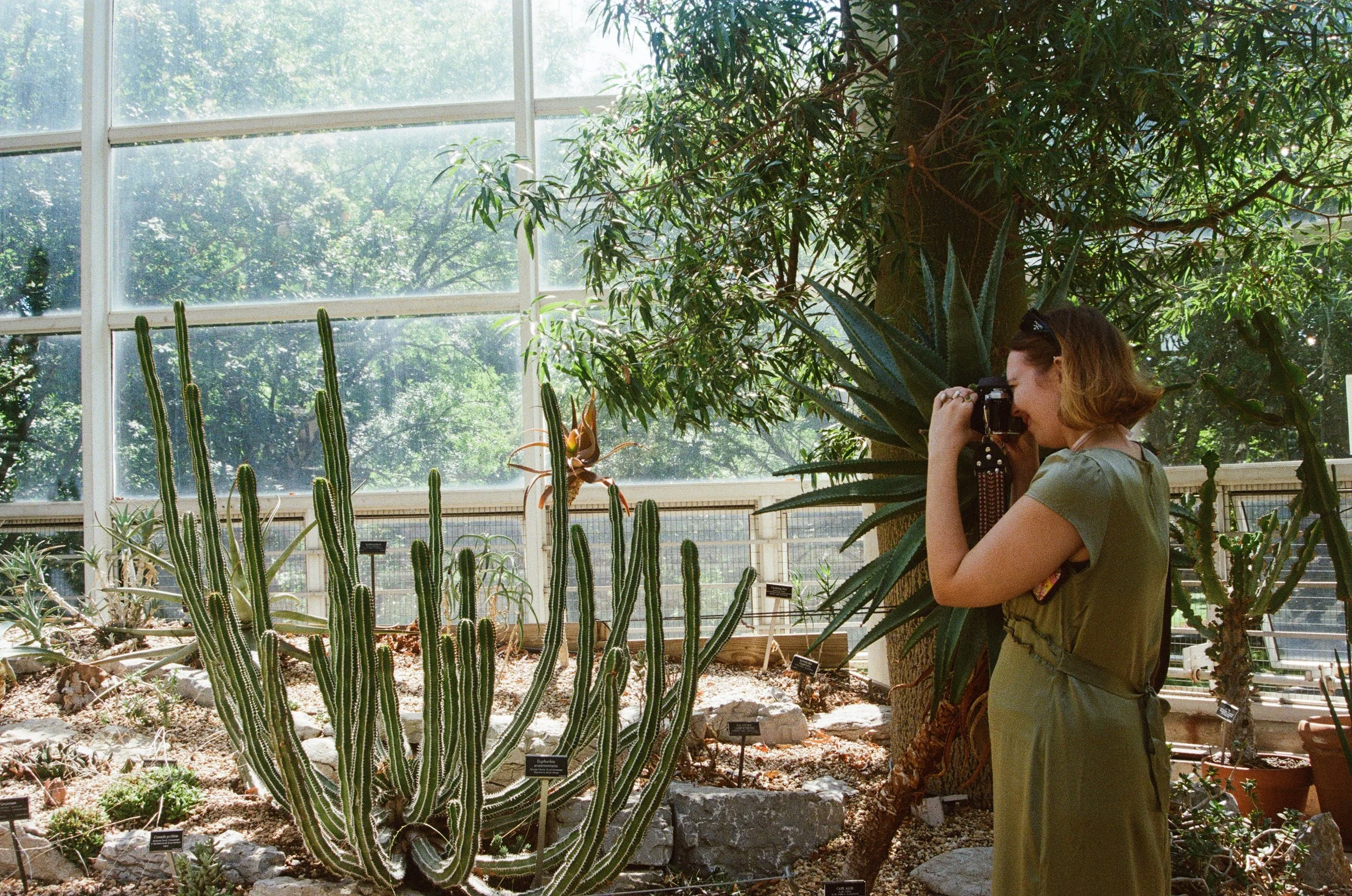 plant flash.jpg