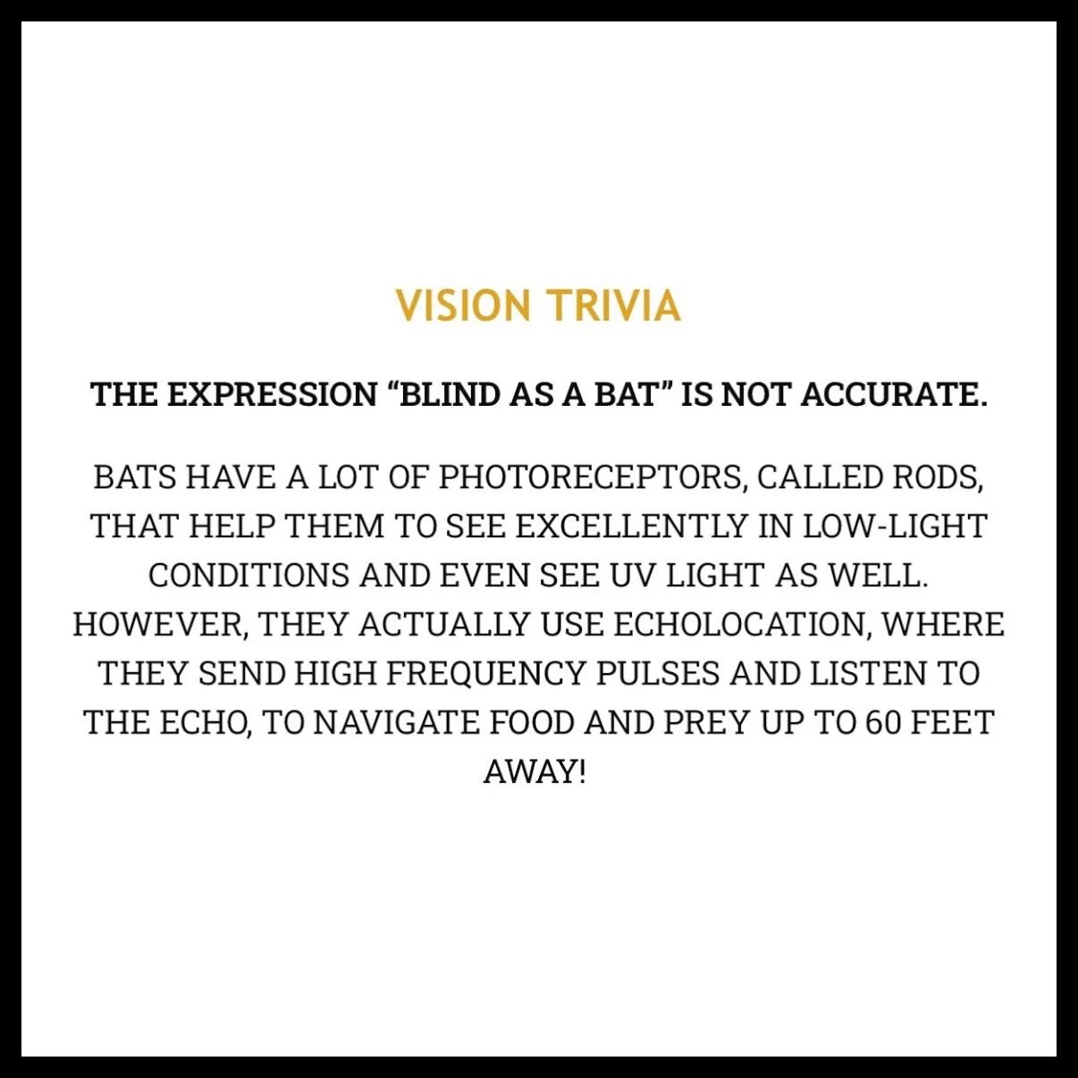 Maybe you should take it as a compliment when someone says you are “blind as a bat!” 🤣🙌🏻🦇 #blindasabat #nightvision #echolocation #eyes #eyefacts #visiontrivia #eyefunfact #themoreyouknow #fridayvibes #eyeglasses #glasses #sunglasses