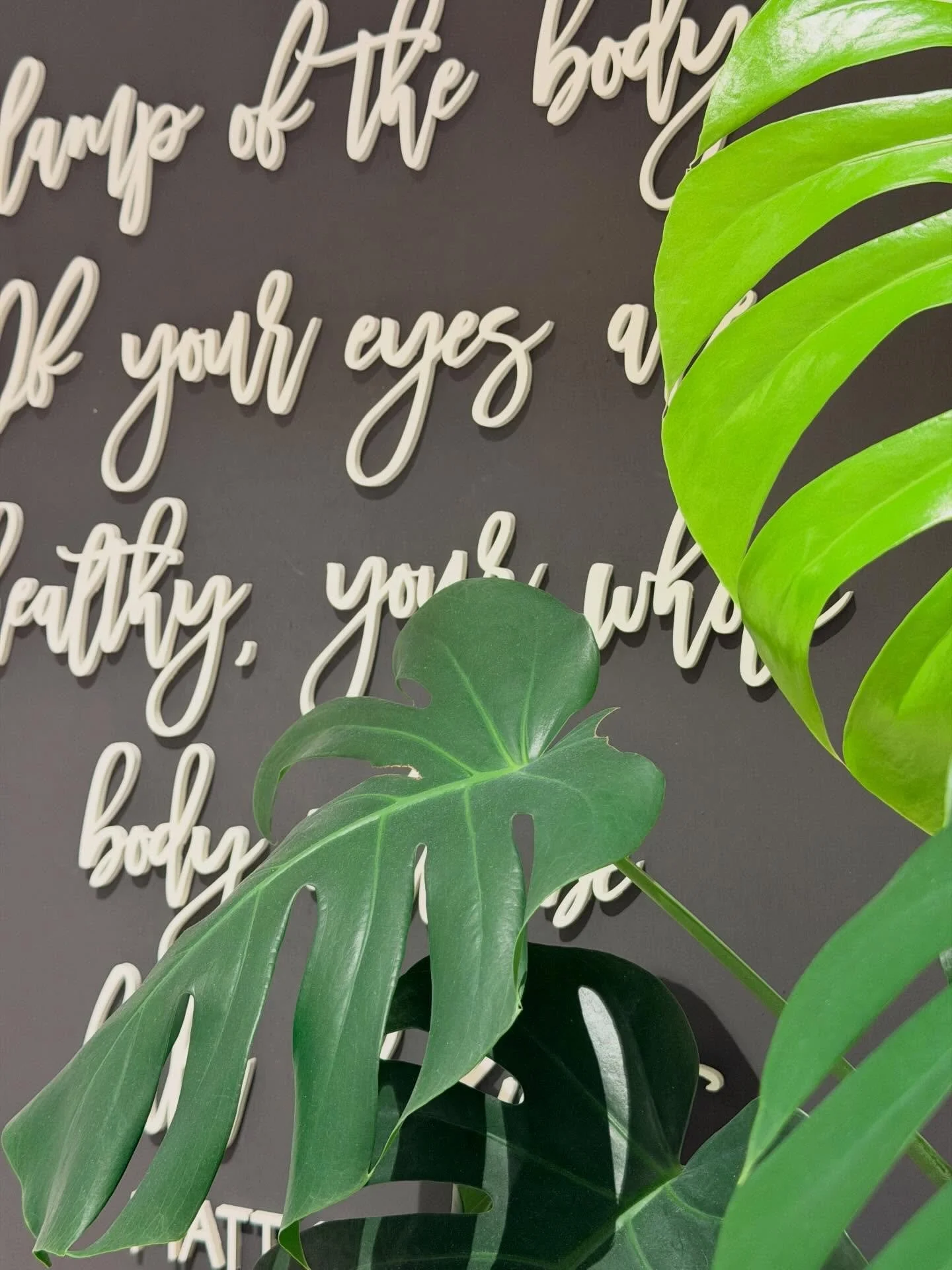 Happy Monday!! 🌱☀️🙌🏻 #plantlady #mondaymood #eyeexam #shopsmall #spectacleoptometry