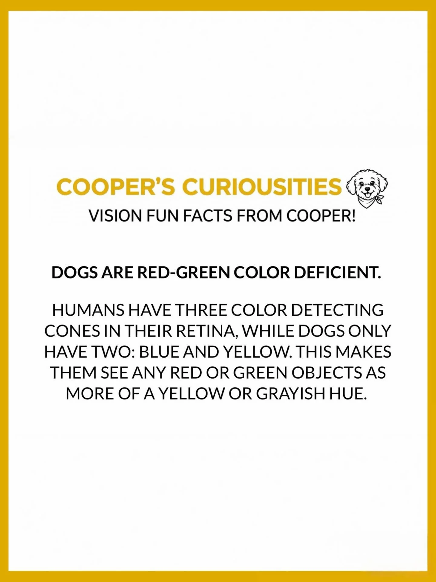 Cooper has decided to take over our fun facts!! And naturally, he started with one about himself! 🐶🐾#themoreyouknow #cooperscuriousities #funfactfriday #visiontrivia #spectacleoptometry